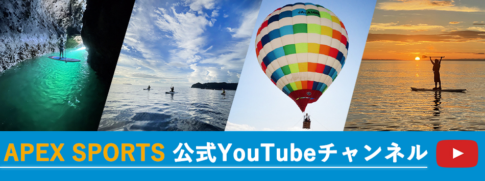 YouTube APEX SPORTS